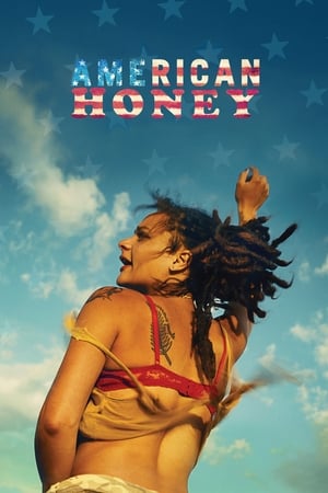 American Honey (2016) Hindi Dual Audio [1.4GB] - Movierulz