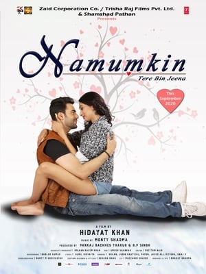 Namumkin Tere Bin Jeena 2020 Movie – [300MB] - Movierulz