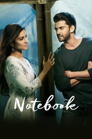 Notebook (2019) Hindi Movie [1.4GB] - Movierulz
