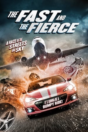 The Fast and the Fierce 2017 Hindi Dual Audio [900MB] - Movierulz